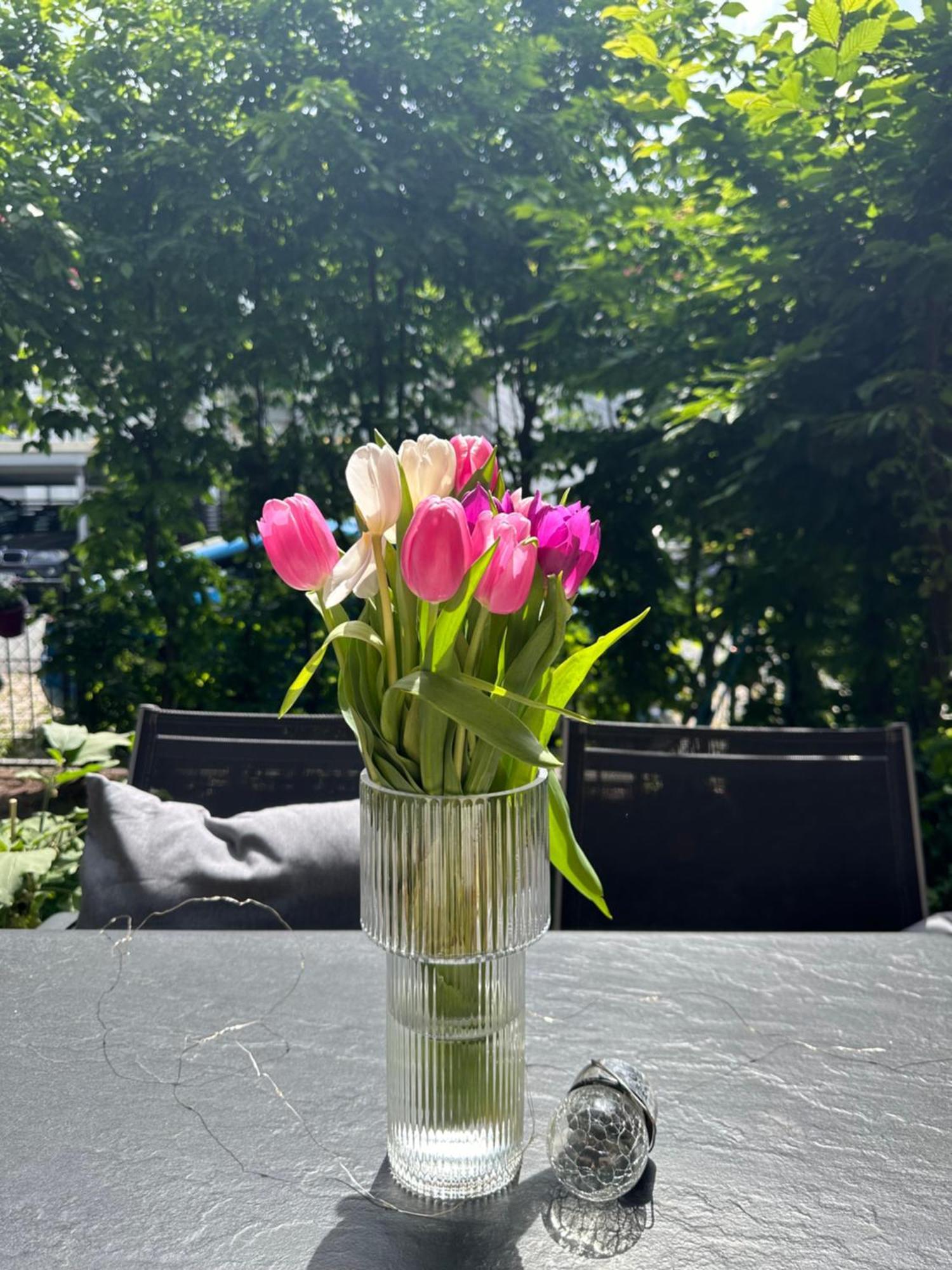 Luxus I Wohnkueche I Garten I Terrasse I Parkplatz Fürth Esterno foto